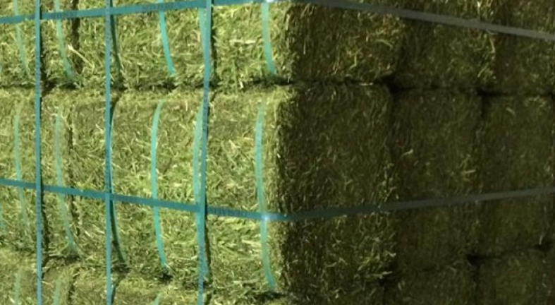 Stacked and baled lucerne