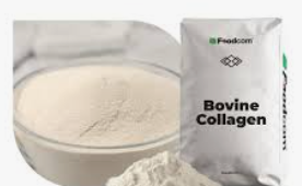 Bovine collagen powder and packaging