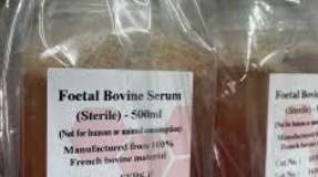 Packaged foetal bovine serum